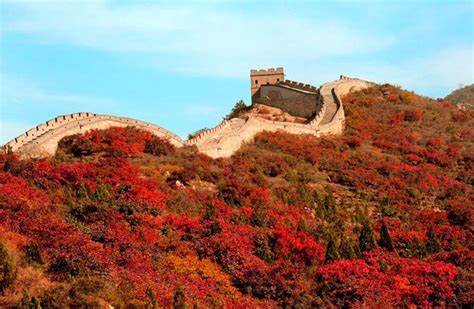 Photos Beijing Experiences An Explosion Of Colorful Fall Foliage