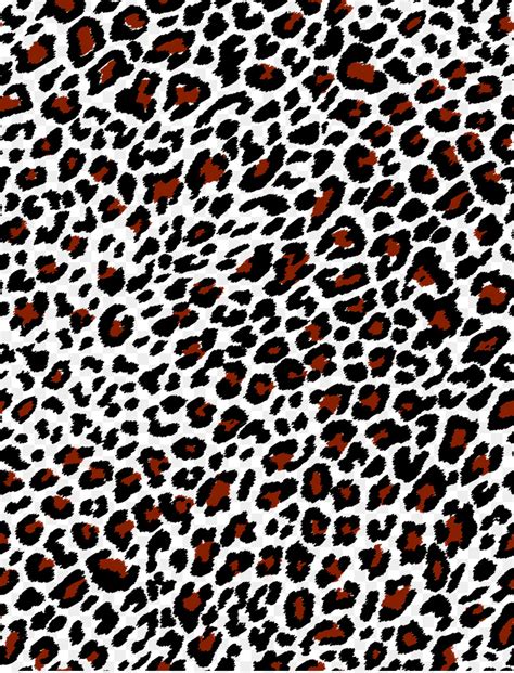 Cheetah Leopard Paper Animal Print Wallpaper Leopard Print Black And