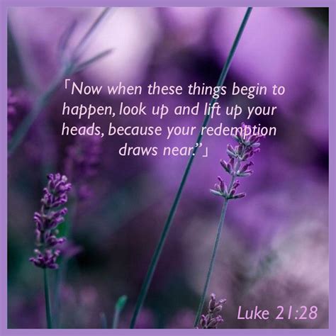 Luke‬ ‭2128‬ ‭ Inspirational Quotes Encouragement Faith Quotes Bible