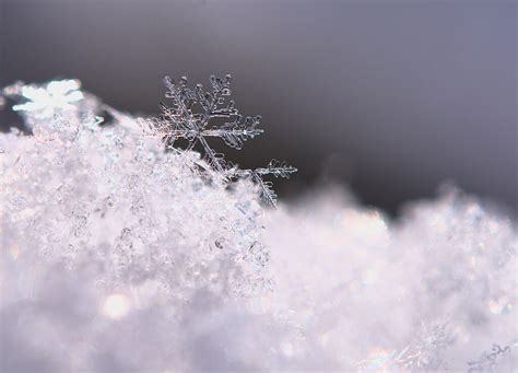 Snowflake Photography How To Capture The Magical Details Pretty