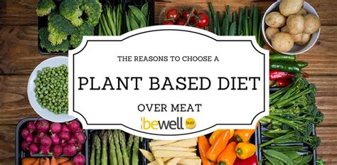 The Plant Based Diet Why Its Better Bewellbuzz