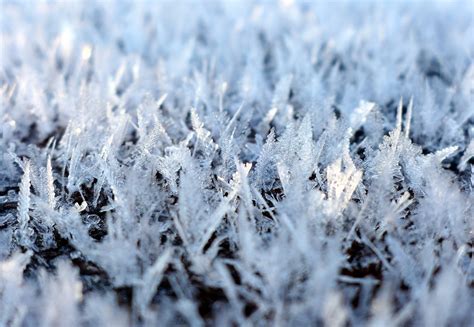 Ice Crystals Winter Cold Free Photo On Pixabay