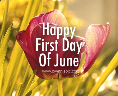 95 Happy First Day Of June Quotes Microsoftdude