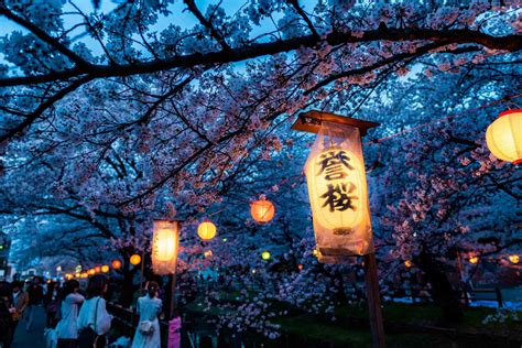 Sakura Tokyo The 10 Best Cherry Blossom Spots You Need To Visit