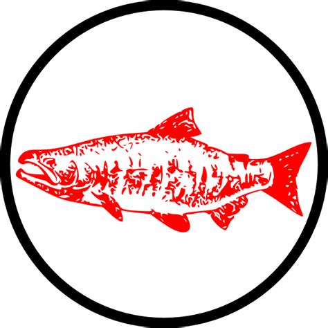 Salmon Clip Art At Vector Clip Art Online Royalty Free