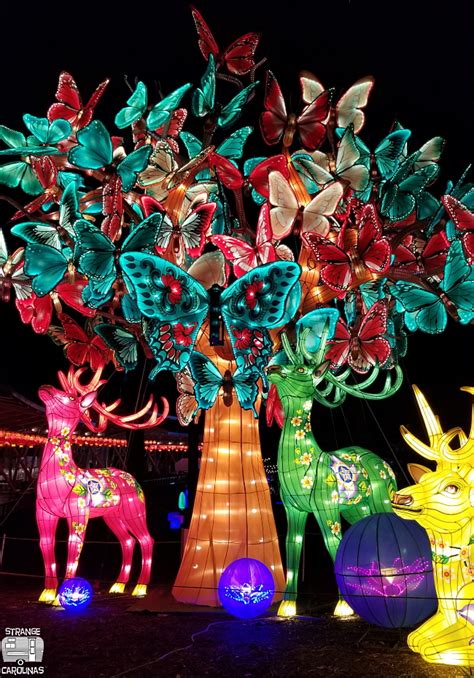See expert intros with pictures. North Carolina Chinese Lantern Festival (Cary, NC ...