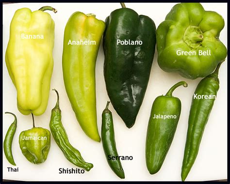 Translation Which One Do You Call Pepper Pimienta O Pimiento