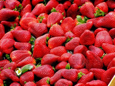 Buah buahan untuk diet yang baik untuk di konsumsi. 13 Buah-Buahan Penurun Berat Badan Tercepat - TeknikHidup.com