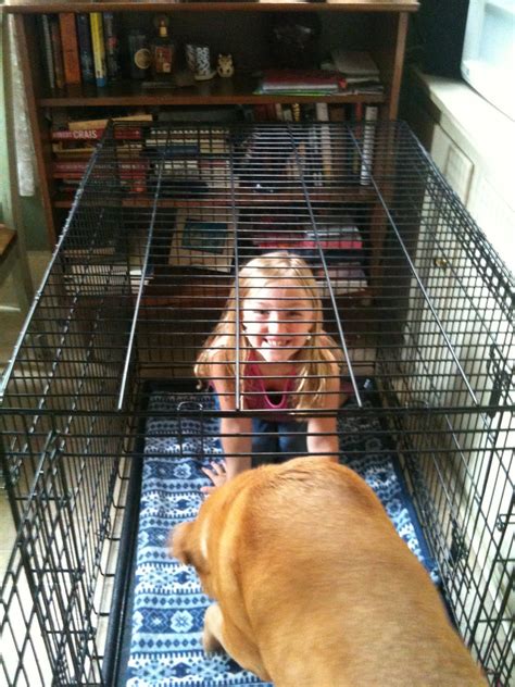 The Good The Bad The Worse The Girl In A Cage