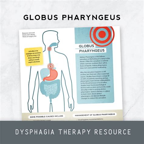 Globus Pharyngeus Therapy Insights