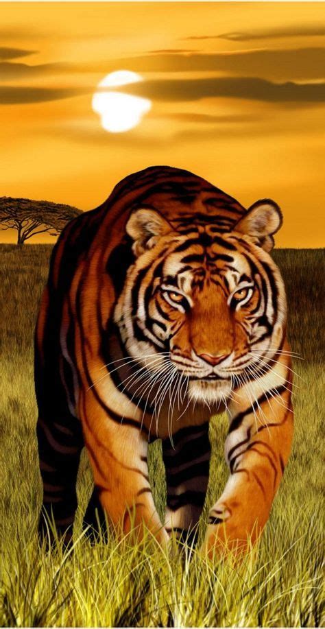 Hình xăm con hổ cute. Tải hình nền con hổ cho điện thoại - Thủ thuật lập trình