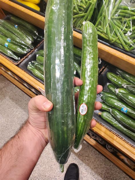 Probably The Biggest Hot House Cucumber Ive Seen To Date Rpublix