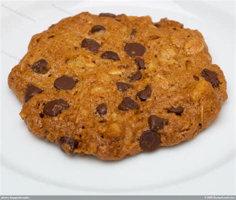 Low Fat And Low Calorie Oatmeal Chocolate Chip Cookies Recipe