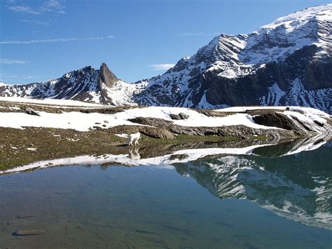Wallpaper Mountainous Landforms Wilderness Glacial Lake Reflection