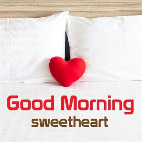 50 Romantic Good Morning Love Messages Morning Wishes Dailyfunnyquote