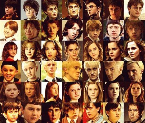 Hogwarts Alumni Harry Potter Cast Evolution