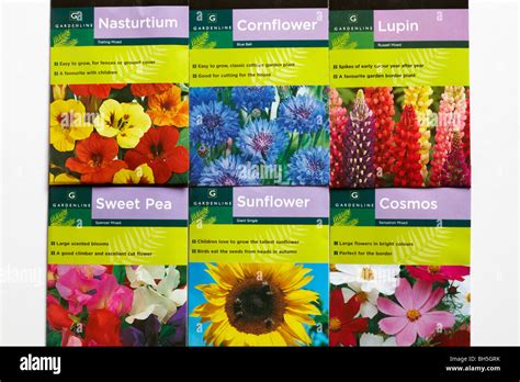 Flower Seeds Packet Hi Res Stock Photography And Images Alamy