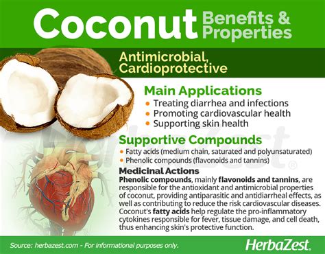 💄 Coconut Tree Medicinal Uses Which Part Of Coconut Is Medicinal