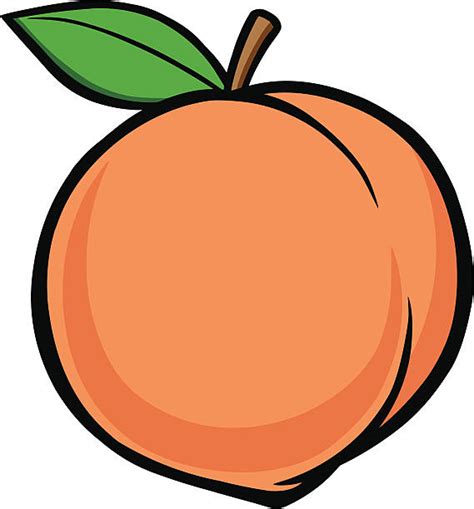 Peaches Illustrations Royalty Free Vector Graphics And Clip Art Istock