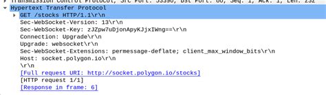 Async WebSocket ProtocolError Failed To Negotiate Connection 400 Or