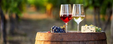 Wine Guide Can You Mix Red And White Wine Wine On My Time