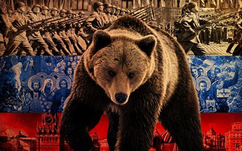 Russian Bear Wallpaper Animals Wallpaper Better
