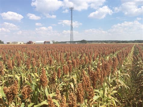 Land Of Liquid Crops Starting And Finishing In Oklahoma