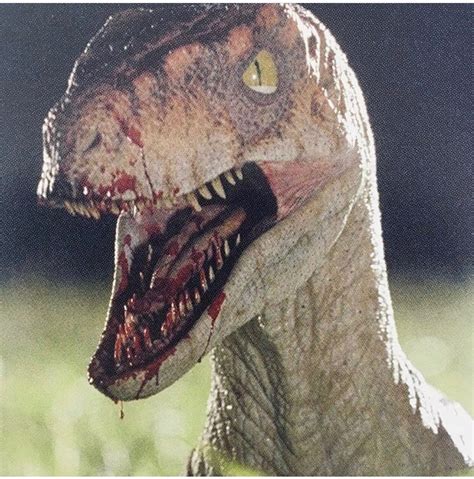 Jurassic Park Raptor Jawermaple