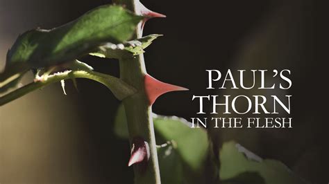 Pauls Thorn In The Flesh Daily Word