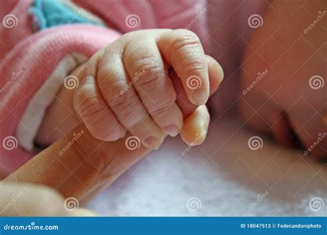 Hand Of Little Girl Holding On The Finger Stock Image Image Of Close