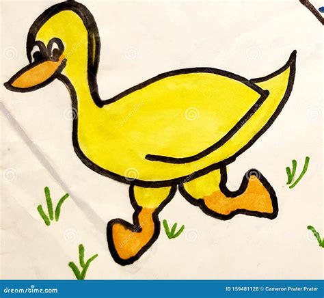 Running Duck In Grass Stock Illustration Illustration Of Grass 159481128
