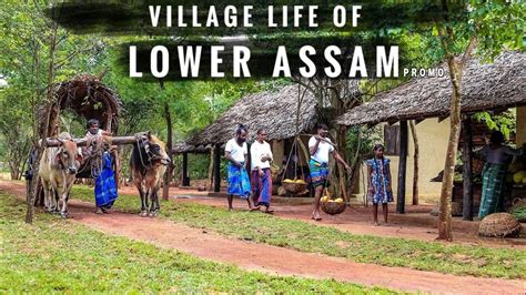 Village Life Of Lower Assam People Plenty Facts Coming Soon Youtube