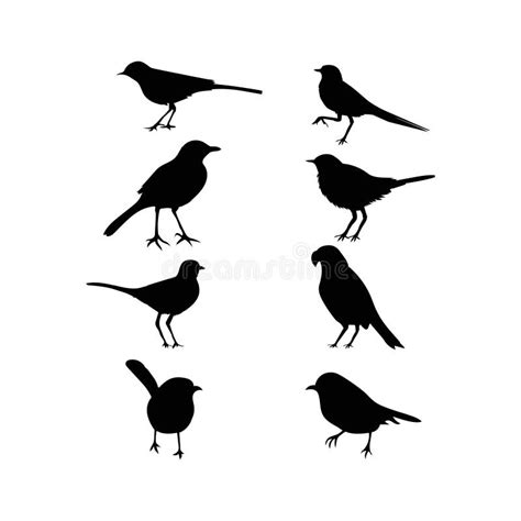 Birds Of Vector Art Icons And Graphics Silhouette Stock Vector