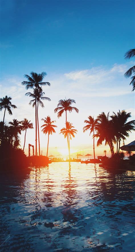 Beautiful Sunset Palm Trees Iphone Wallpaper Ipad