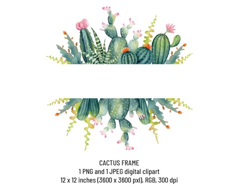 Watercolor Cacti Frame Succulent Border Cactus Clipart Desert Etsy