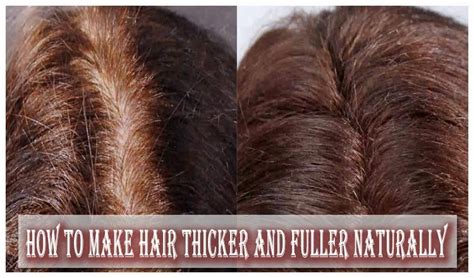 You can get jason's at whole foods, you can order online, but again this is a great brand. How To Make Hair Thicker and Fuller Naturally Home ...