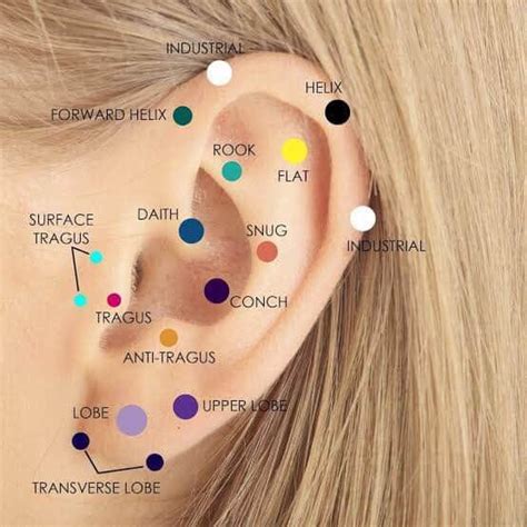 Types Of Ear Piercings Ear Piercings Chart Ear Pierced Ph