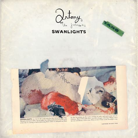 Swanlights Álbum de Antony and the Johnsons Spotify