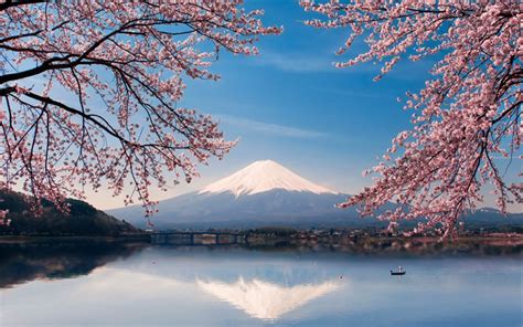 Download Wallpapers Fujiyama Stratovolcano Spring Sakura Lake