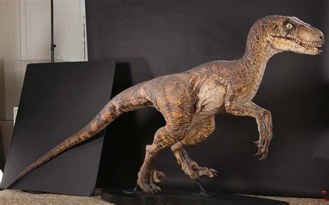 Full Size Velociraptor Maquette Used In Jurassic Park I Wish I Had Money To Buy This Thin