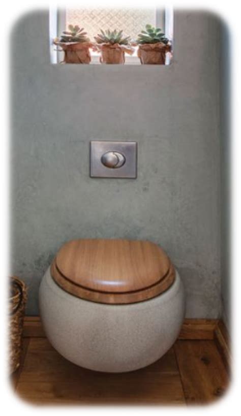 Best Small Toiler Best Toilet For Small Space