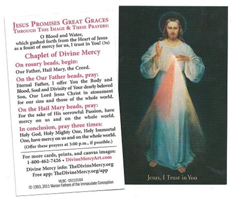 How To Pray The Divine Mercy Chaplet Divine Mercy Chaplet Divine Reverasite