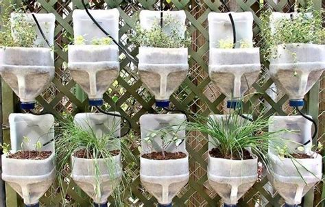 29 Insanely Creative Diy Planter Ideas From Household Items Balcony