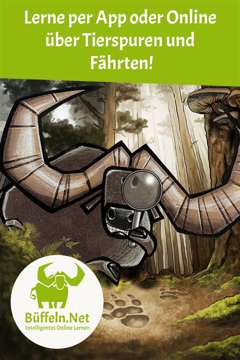 Kostenlos online lesen oder ausdrucken | viele weitere kindergeschichten für den winter bei mit diesem liebevoll illustrierten sachbilderbuch lernen schon die kleinsten, die fährten heimischer wildtiere zu unterscheiden. Lerne einfach und effizient mit der App oder im Web zum ...