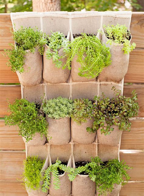 24 Container Gardening Wall Ideas You Cannot Miss Sharonsable