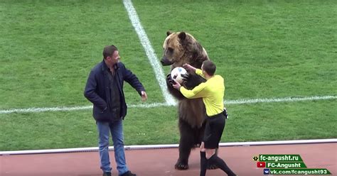 Animal Rights Activists Hit Out At Russian Football Club For Using Wild