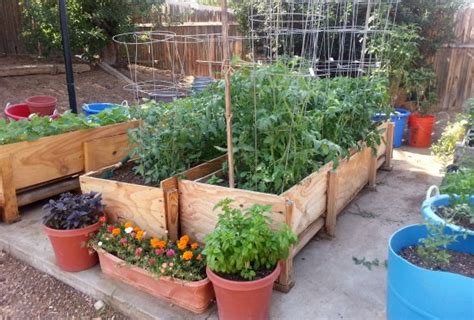 Great folks like arms family homestead are using them too. Gardening in Small Spaces - Container Gardening - One ...