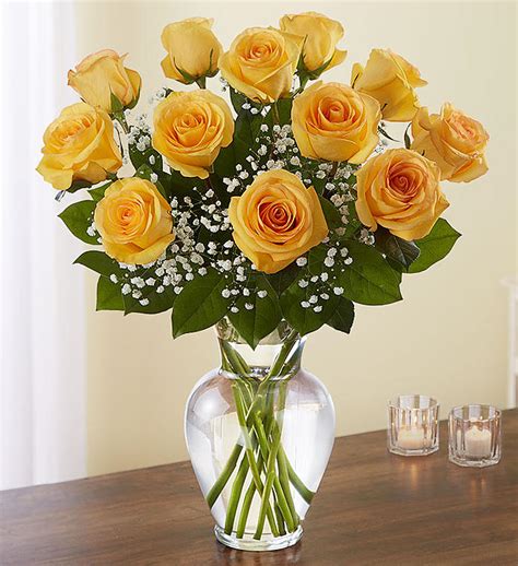 Dozen Long Stem Yellow Roses In Vase A Bella Mia Flowers Boston
