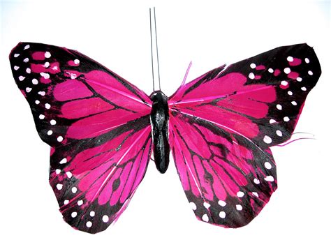 Pink Butterfly Pink Wallpaper Designs