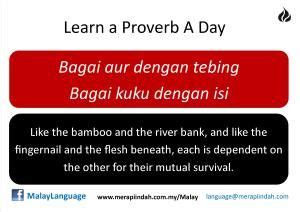 Bagai bumi dan langit = dua hal yang sangat jauh berbeda. Malay Proverb - Bagai aur dengan tebing / bagai isi dengan ...